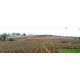 Vigne de Meursault "Les Rougeots" du domaine Coche-Dury