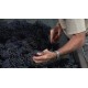 Le tri du raisin, moment important dans le procéssus d'élaboration du vin
