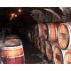 La cave troglodytique du Clos Rougeard creusée dans le tuffeau, où les vins sont élevés 24 mois