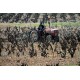 Laurent Charvin labourant ses vignes de Côtes du Rhône