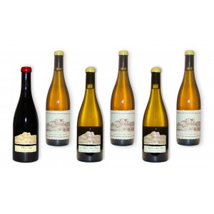 Pack 6 Jura wines 2016 Ganevat