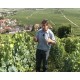 Vineyards of d'Avize champagne Jacques Selosse