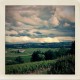 Vincent Dancer vineyard