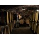 Tasting of the 2011 vintage in Vincent Dancer cellar