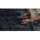 tri du raisin domaine Emmanuel Rouget