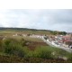 Vineyards of d'Avize champagne Jacques Selosse